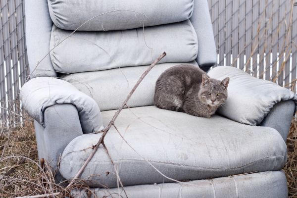 Recliner Disposal in Dubuque